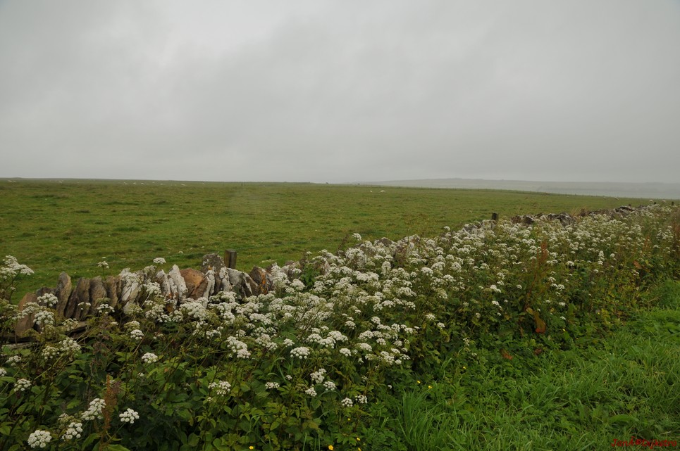 dsc_9564.jpg