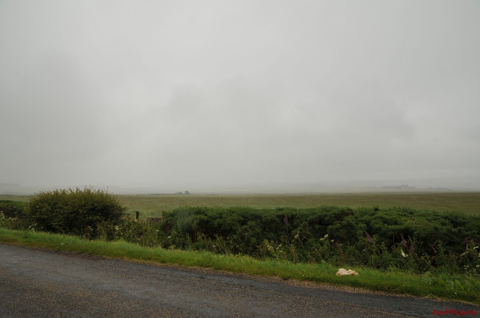 dsc_9565.jpg