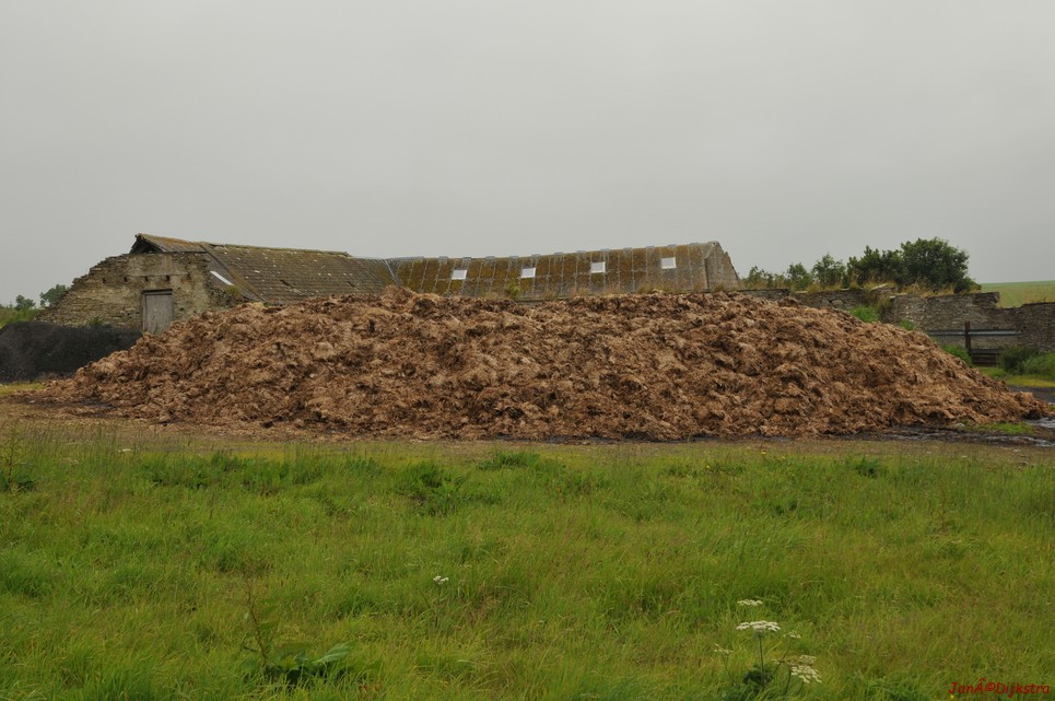 dsc_9566.jpg