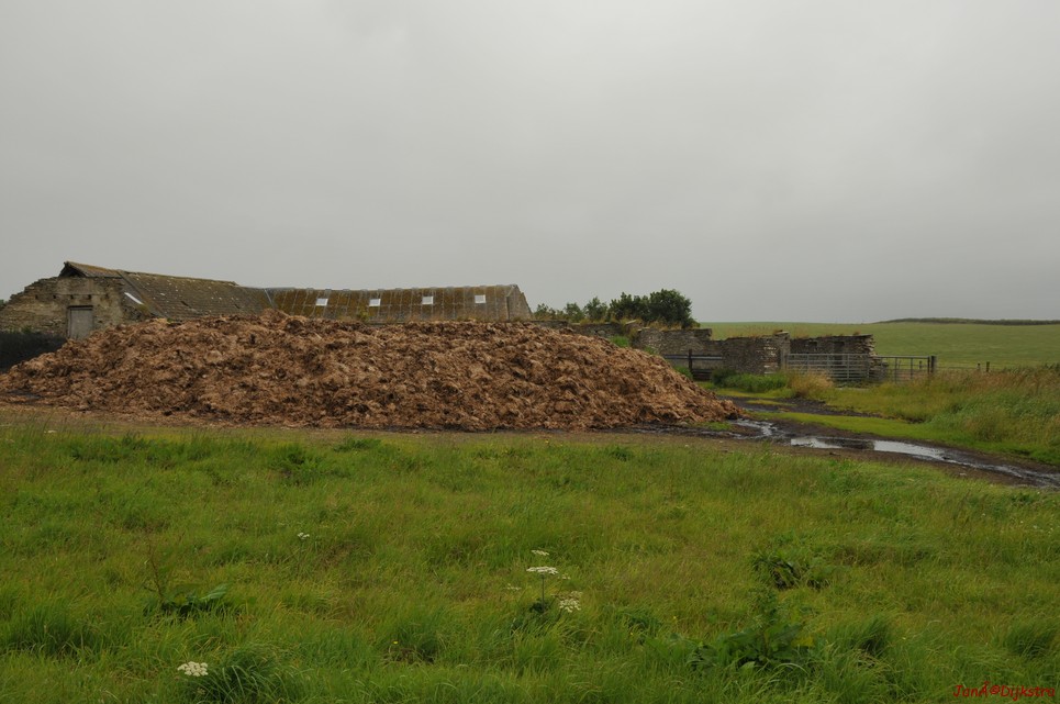 dsc_9567.jpg