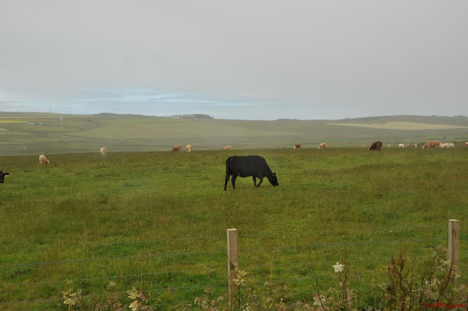 dsc_9569.jpg