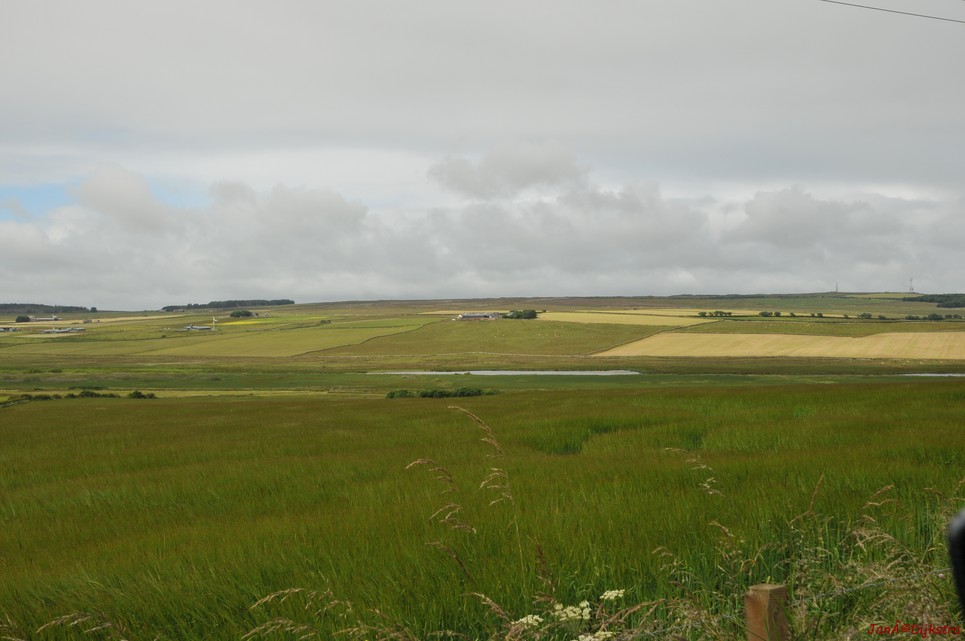 dsc_9571.jpg