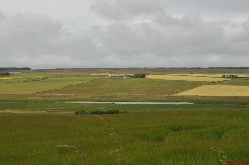 dsc_9572.jpg