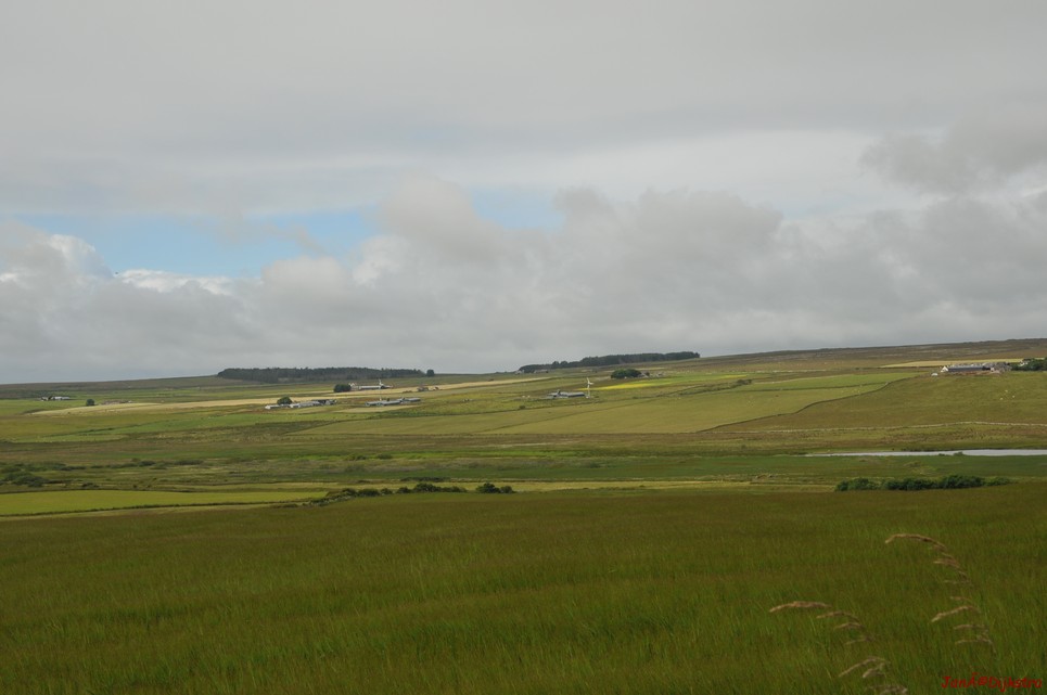 dsc_9573.jpg