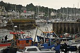 dsc_0002.jpg