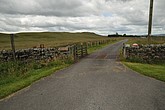 dsc_9506.jpg