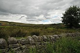 dsc_9509.jpg