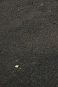 dsc_9516.jpg