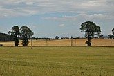dsc_9534.jpg
