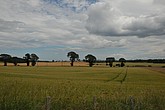 dsc_9536.jpg