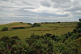 dsc_9541.jpg