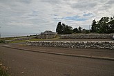 dsc_9544.jpg