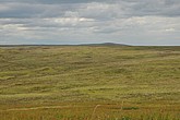 dsc_9559.jpg