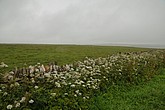 dsc_9564.jpg