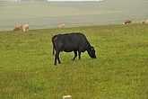 dsc_9568.jpg