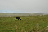 dsc_9570.jpg
