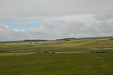 dsc_9573.jpg