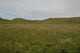 dsc_9574.jpg