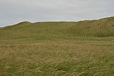 dsc_9575.jpg