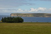 dsc_9584.jpg