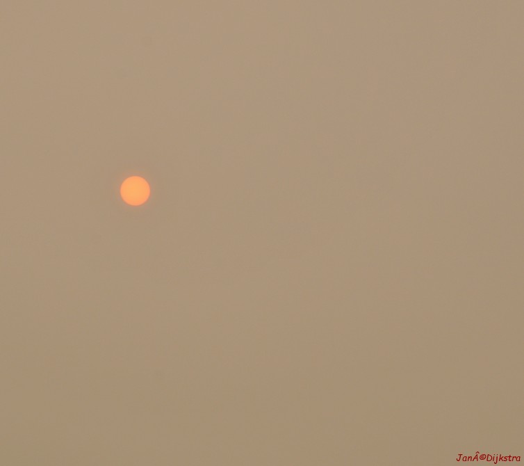 DSC_0376.JPG