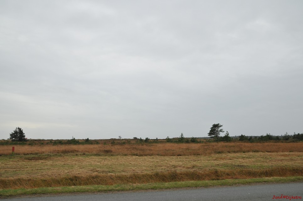 DSC_0403.JPG