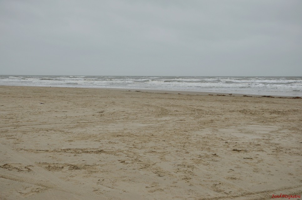 DSC_0406.JPG