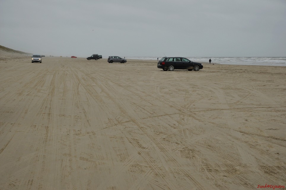 DSC_0408.JPG