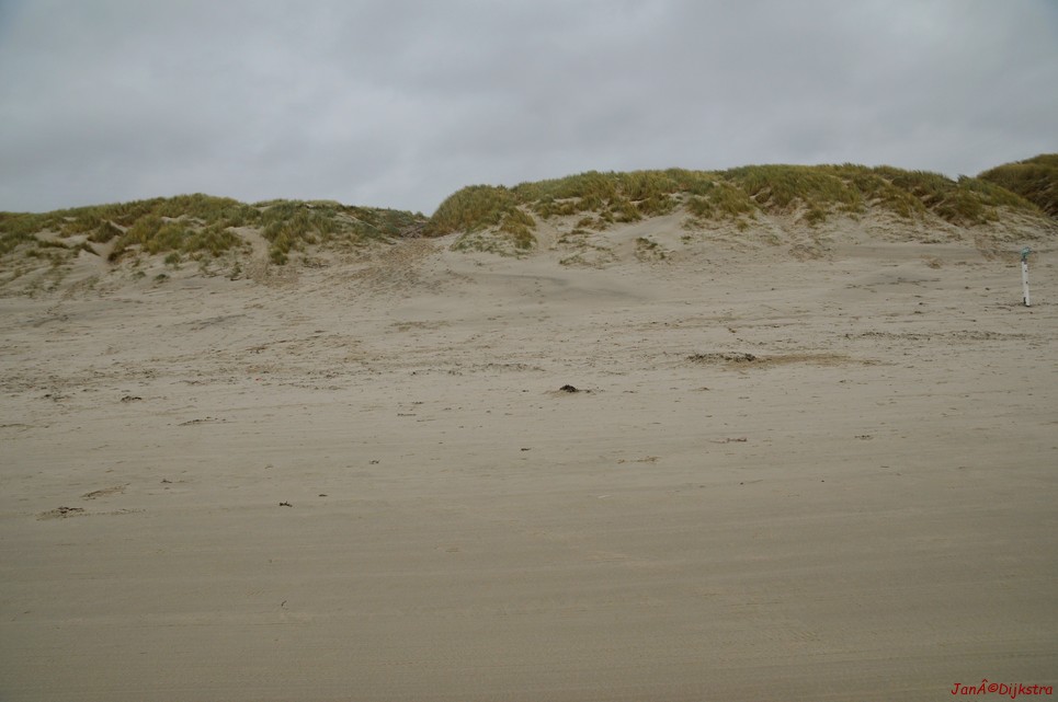 DSC_0410.JPG