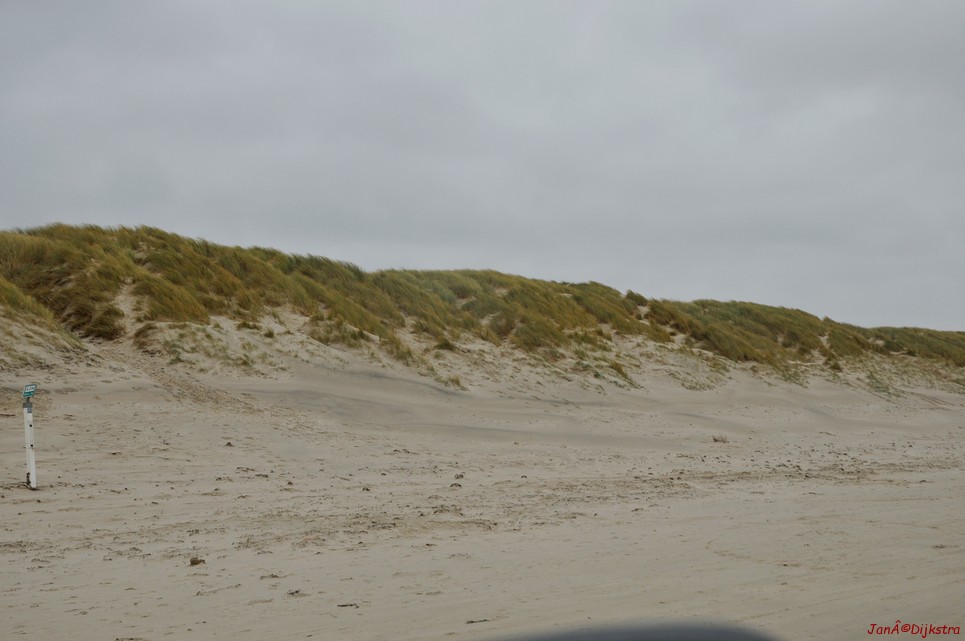 DSC_0411.JPG