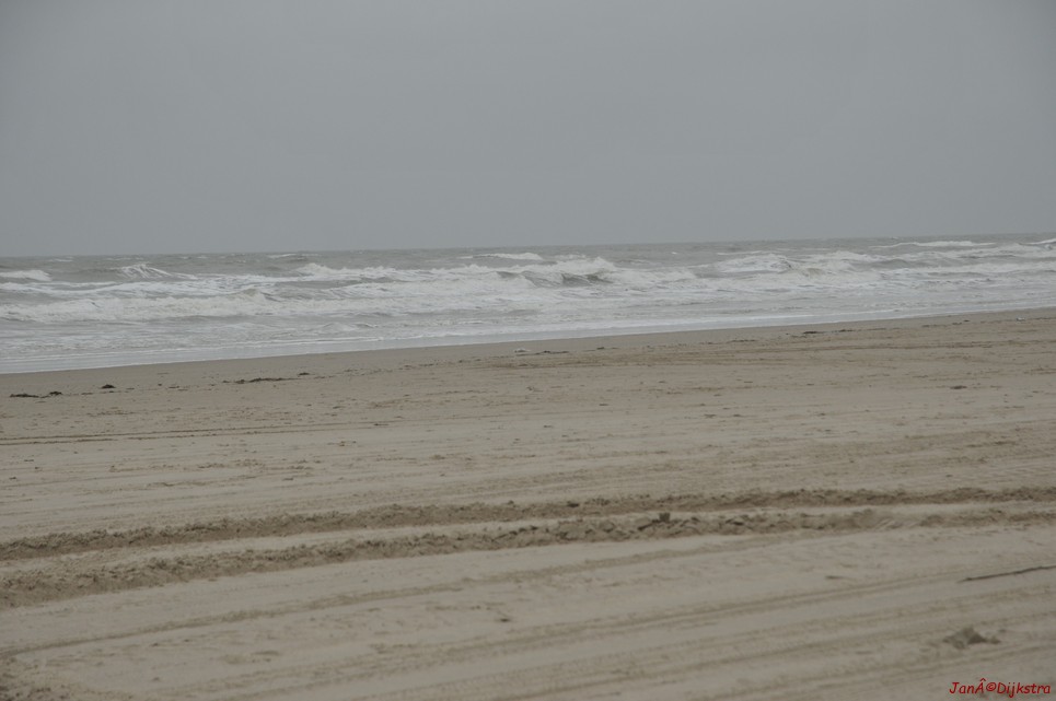 DSC_0413.JPG