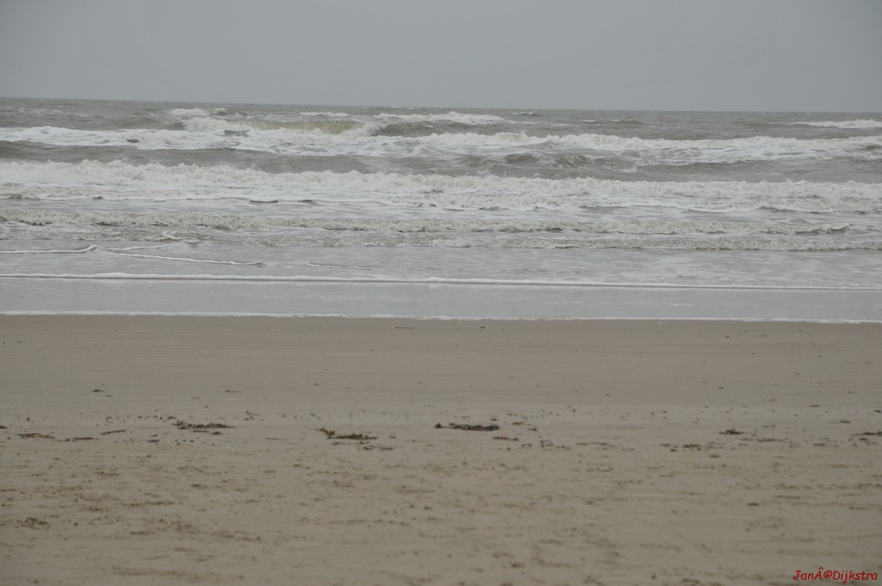 DSC_0414.JPG