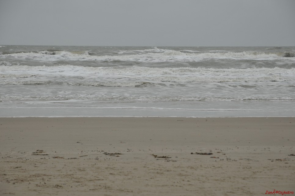 DSC_0415.JPG