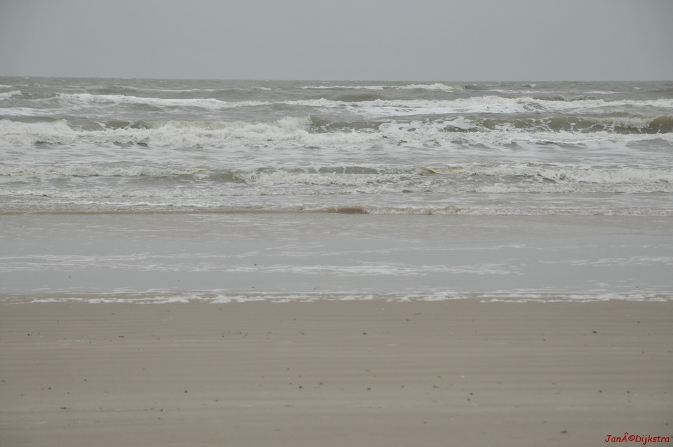 DSC_0416.JPG