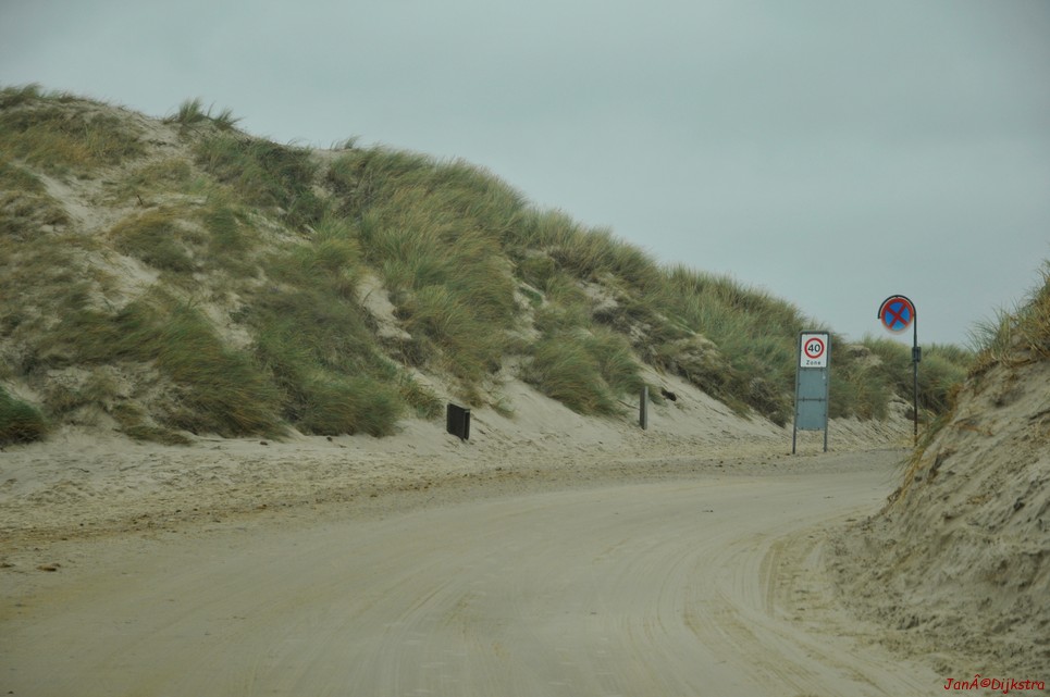 DSC_0417.JPG