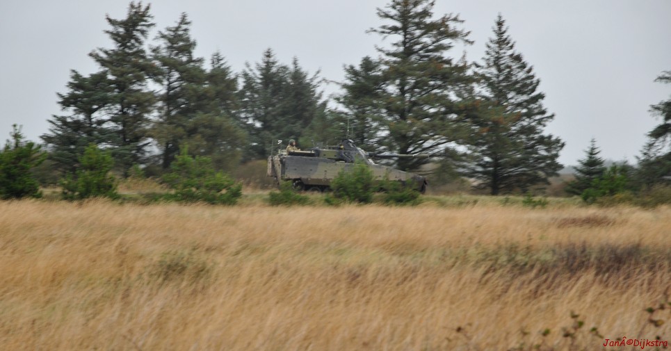 DSC_0421.JPG