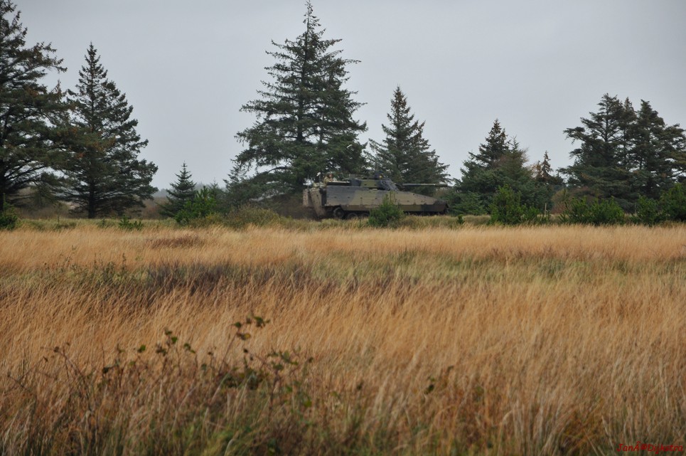 DSC_0422.JPG