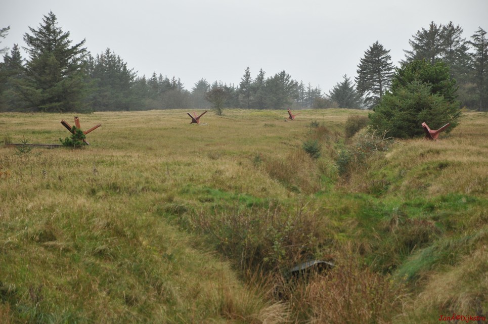 DSC_0424.JPG