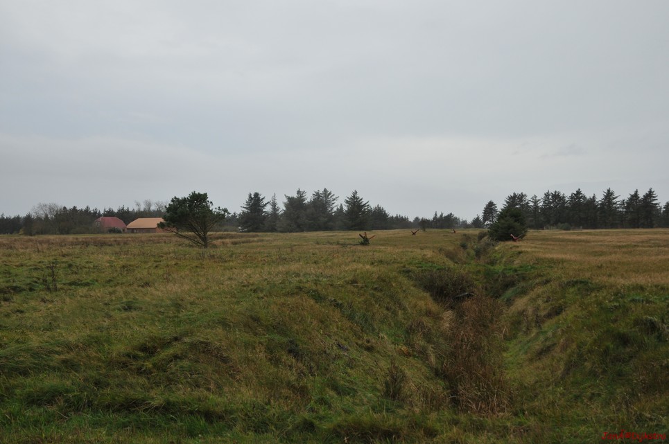 DSC_0425.JPG