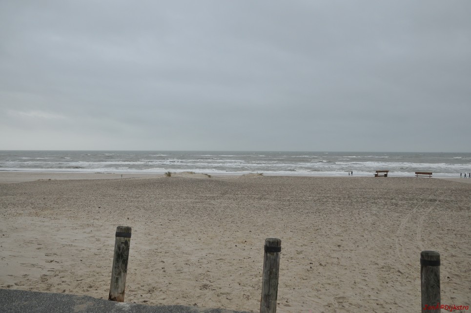 DSC_0426.JPG
