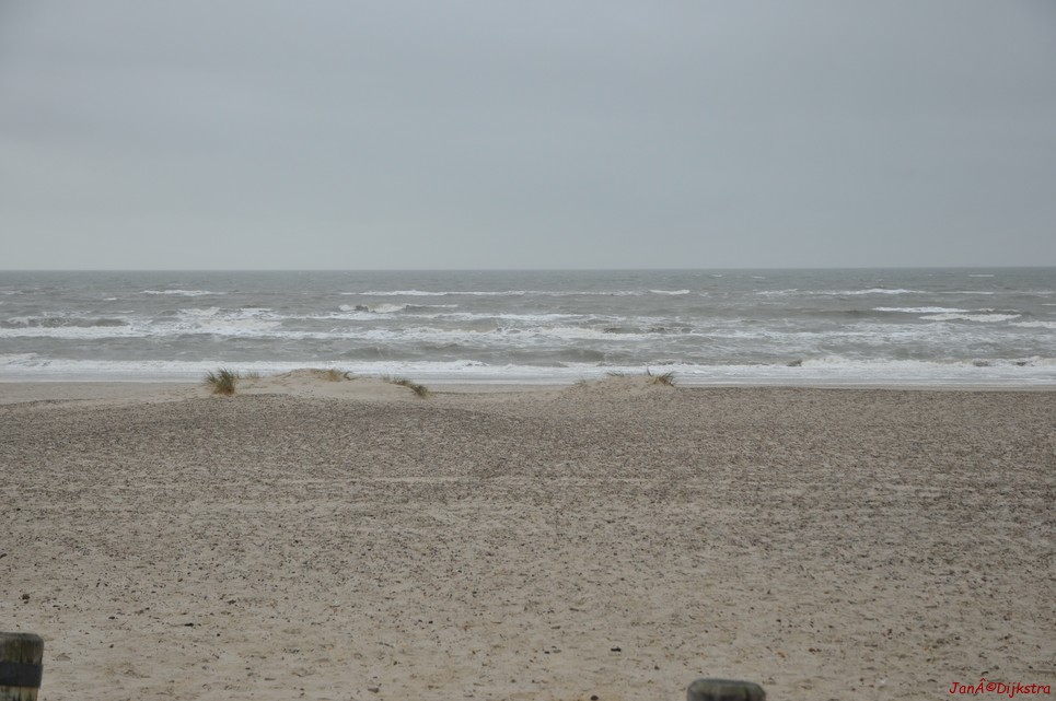 DSC_0427.JPG
