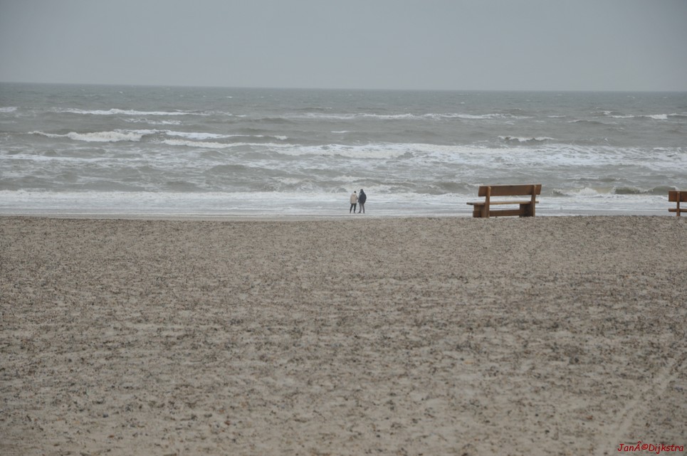 DSC_0428.JPG