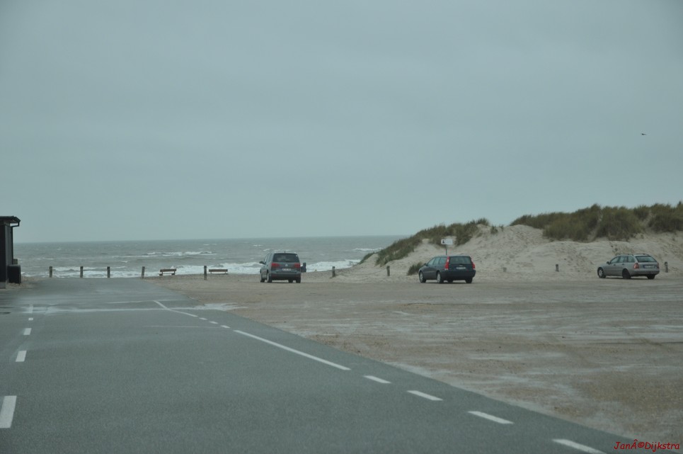 DSC_0429.JPG