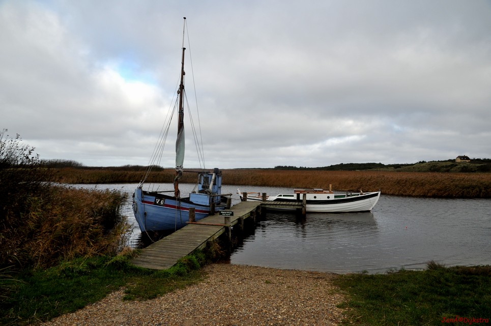 DSC_0437.JPG