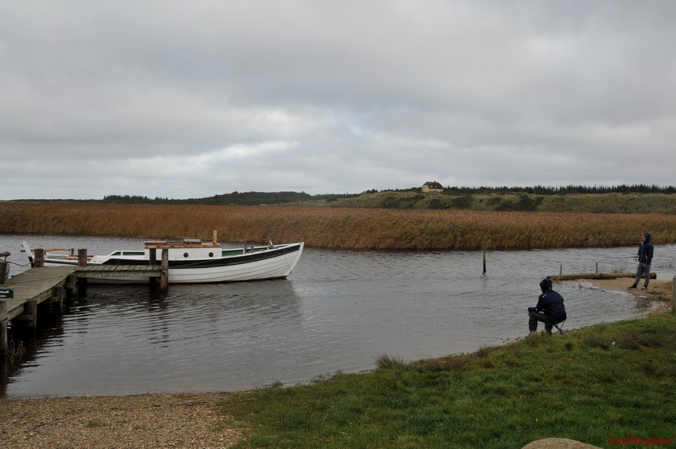 DSC_0439.JPG