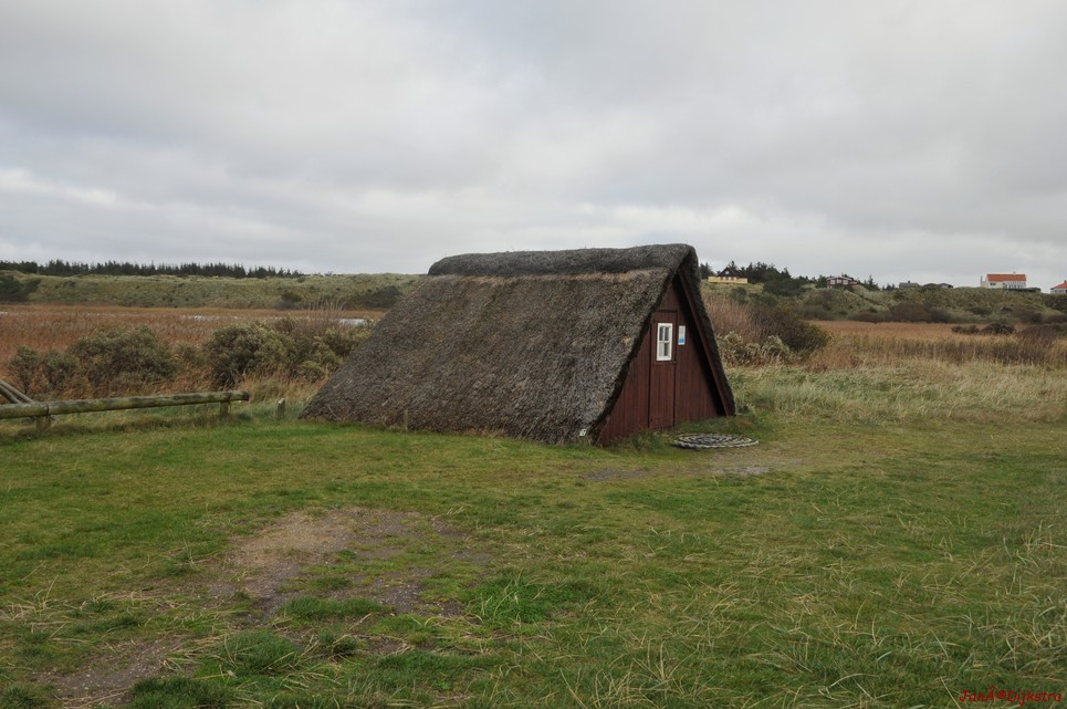 DSC_0440.JPG