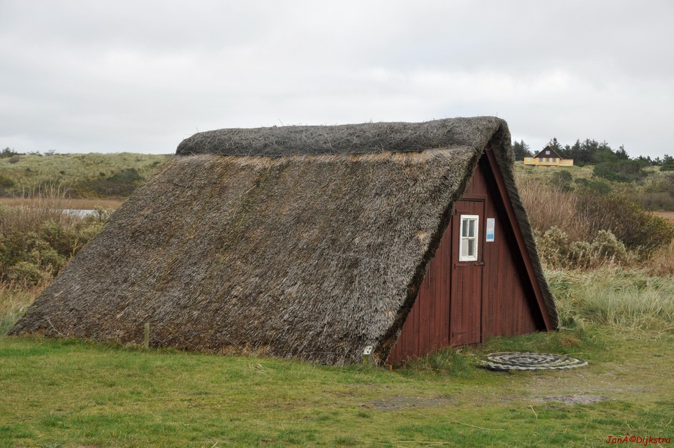 DSC_0441.JPG