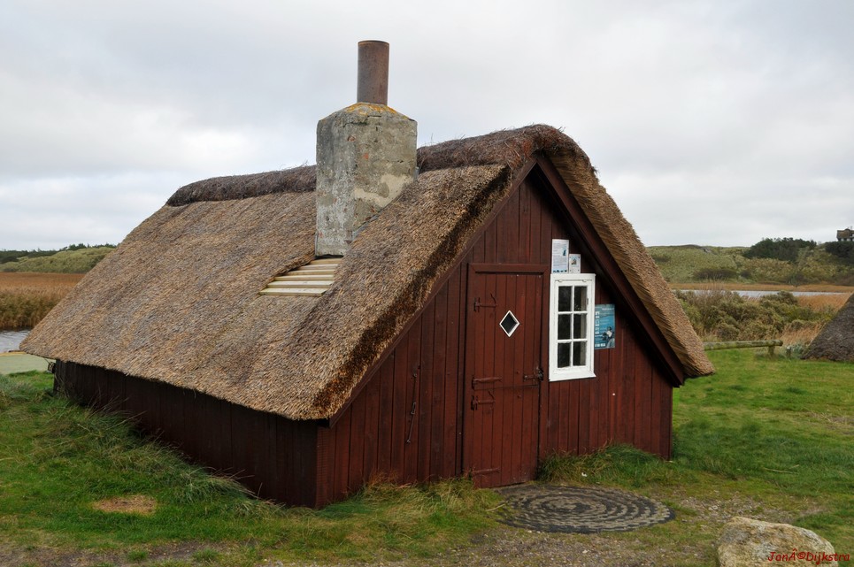 DSC_0443.JPG
