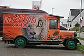 DSC_0398.JPG
