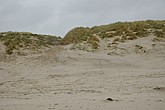 DSC_0409.JPG